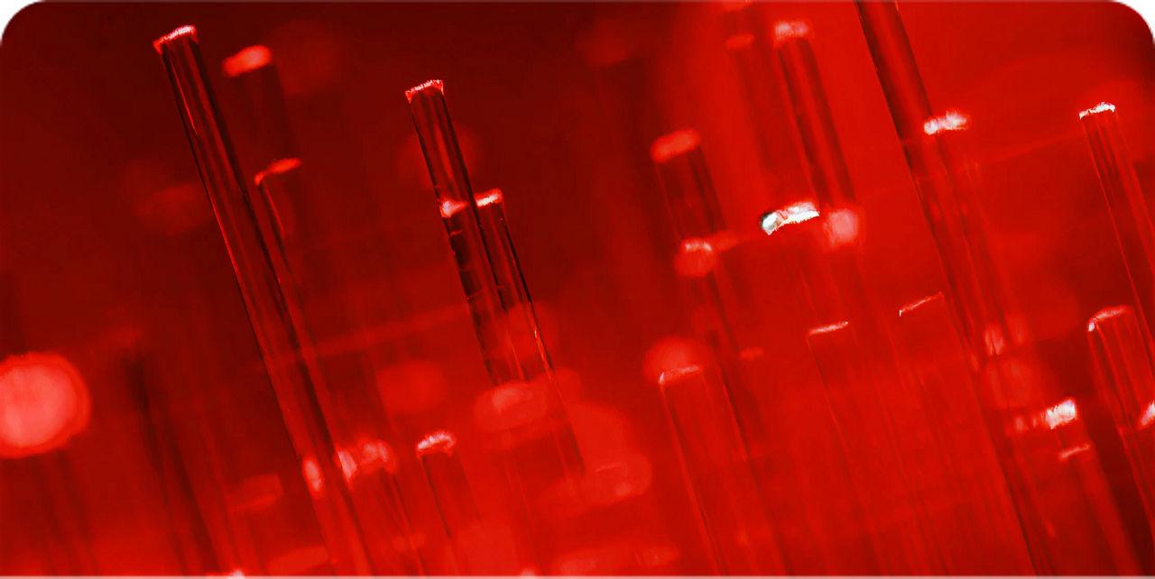 gigafibra static 500mbps image en